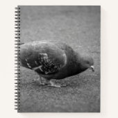 Pigeon Spiral Notitieboek (Voorkant)