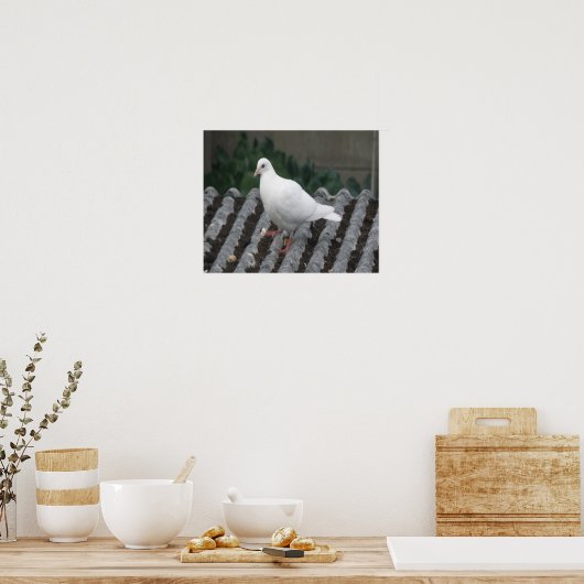 Pigeon Toed - White Pigeon Print (Keuken)