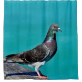 Pigeon With A View Douchegordijn (Voorkant)