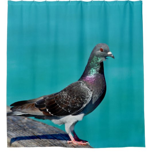 Pigeon With A View Douchegordijn (Voorkant)