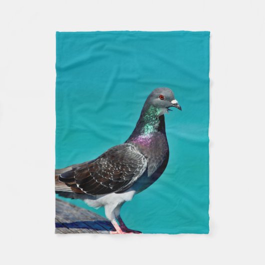 Pigeon With A View Fleece Deken (Voorkant)