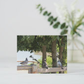 Pigeons die een Uitzicht aanhangen Briefkaart (Staand voorkant)