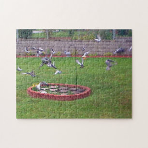 Pigeons die landen en de vogelaanvoer uitschakelen legpuzzel