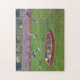Pigeons die landen en de vogelaanvoer uitschakelen legpuzzel