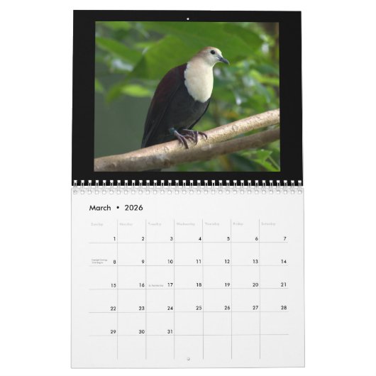 Pigeons & Doves 2017 Kalender (Mar 2026)