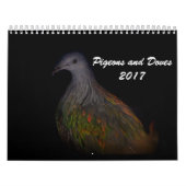 Pigeons & Doves 2017 Kalender (Hoes)