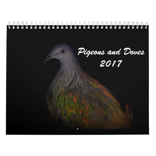 Pigeons & Doves 2017 Kalender (Hoes)