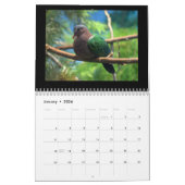 Pigeons & Doves 2017 Kalender (Jan 2026)