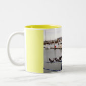 PIGEONS IN GUERNSEY MARINA TWEEKLEURIGE KOFFIEMOK (Links)