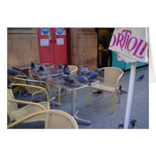 Pigeons in Lunch