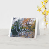 Pigeons, Lloyd Park, Walthamstow, Londen Kaart (Gele Bloem)