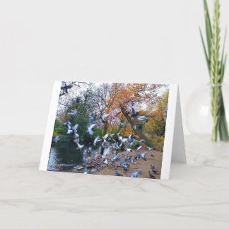 Pigeons, Lloyd Park, Walthamstow, Londen Kaart