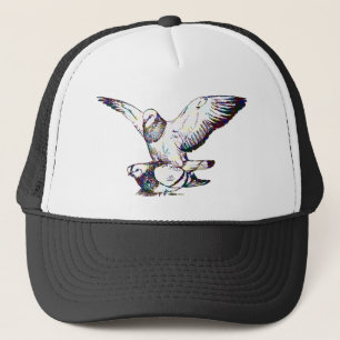 Pigeons Mating Trucker Pet