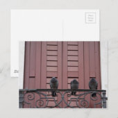 Pigeons op een balkon briefkaart (Voorkant / Achterkant)