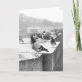 Pigeons op een brug kaart (Voorkant)