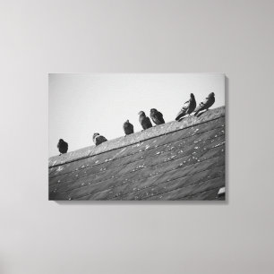 Pigeons op een dak canvas afdruk