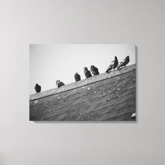 Pigeons op een dak canvas afdruk (Voorkant)