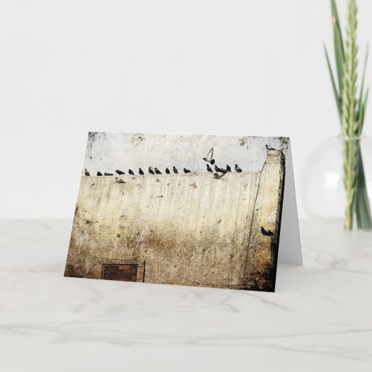 Pigeons op een dak kaart (Voorkant)