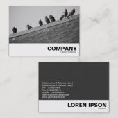 Pigeons op een dak visitekaartje (Voorkant / Achterkant)