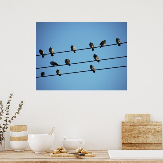 Pigeons op een Powerline Poster (Keuken)