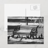 Pigeons op Empty Park Bench Briefkaart (Voorkant / Achterkant)