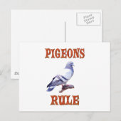 Pigeons Rule Briefkaart (Voorkant / Achterkant)