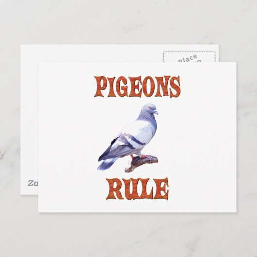 Pigeons Rule Briefkaart (Voorkant / Achterkant)