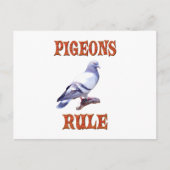 Pigeons Rule Briefkaart (Voorkant)