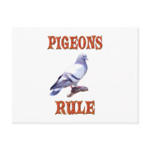 Pigeons Rule