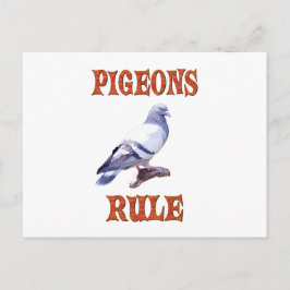 Pigeons Rule Briefkaart