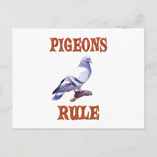 Pigeons Rule Briefkaart (Voorkant)