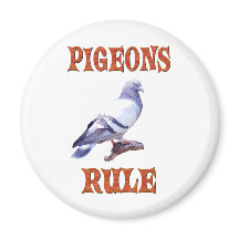 Pigeons Rule