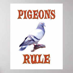 Pigeons Rule Poster