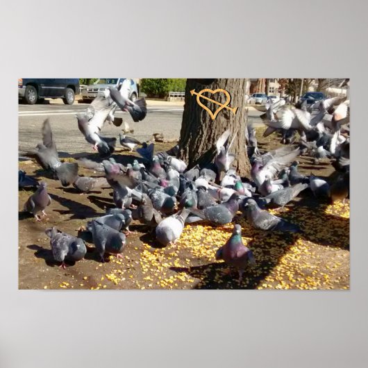 Pigeons verzamelen rond bomen met hart poster (Voorkant)