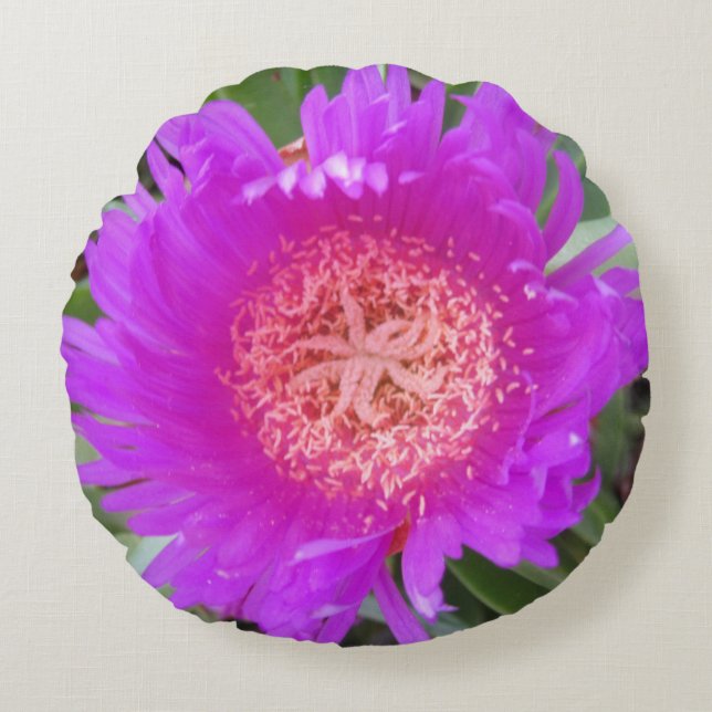 Pigface Ronde Kussen (Voorkant)