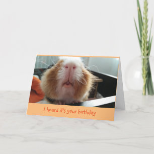 Piggie kisses en curly whiskers verjaardagskaart kaart