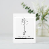 Piggiwiggia Pyramidalis. Briefkaart (Staand voorkant)