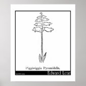 Piggiwiggia Pyramidalis. Poster (Voorkant)