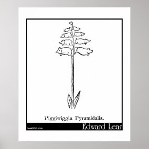 Piggiwiggia Pyramidalis. Poster