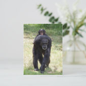Piggy Back Mum Briefkaart (Staand voorkant)