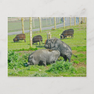 Piggy Back Ride Briefkaart
