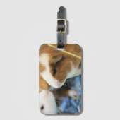 Piggy Bagagelabel (Voorkant (verticaal))