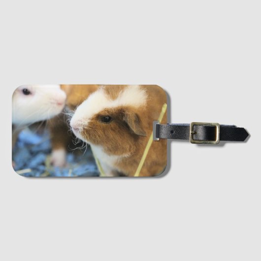 Piggy Bagagelabel (Voorkant (horizontaal))