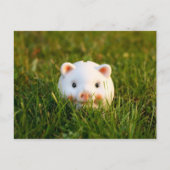 Piggy Bank Briefkaart (Voorkant)