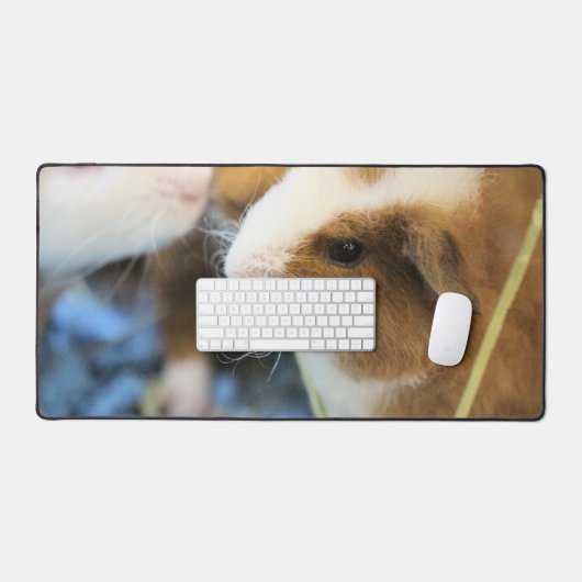Piggy Bureaumat (Keyboard & Muis)