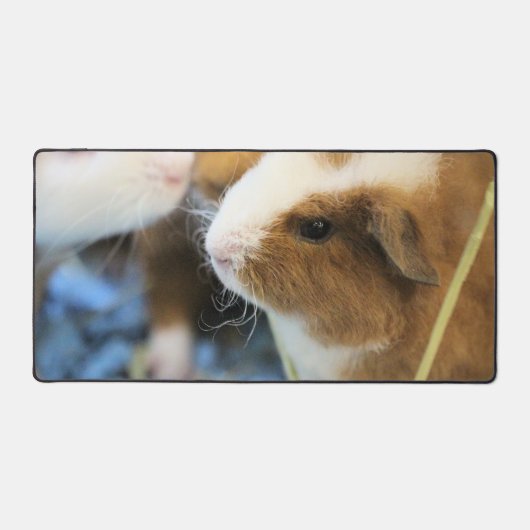 Piggy Bureaumat (Voorkant)