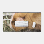 Piggy Bureaumat (Keyboard & Muis)
