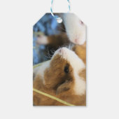 Piggy Cadeaulabel (Voorkant)
