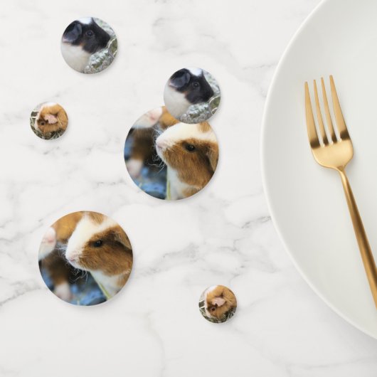 Piggy Confetti (Groep)