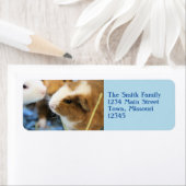 Piggy Etiket (Insitu)